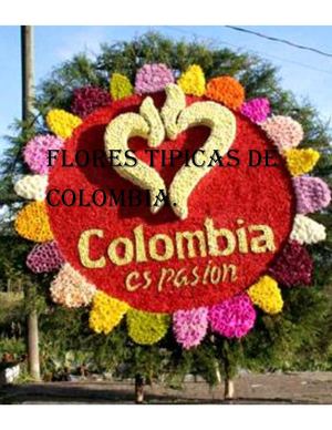 Flores Tipicas De Colombia