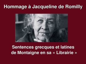 Montaigne Sentences Librairie