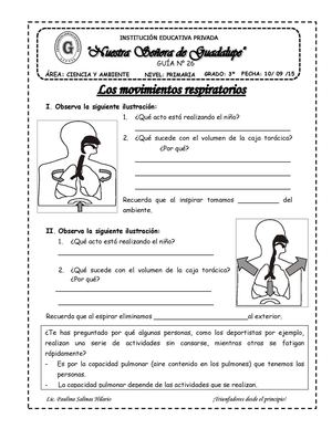 Movimientos Respiratorio Semana 26