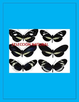 Selección Natural V J W J D J M D