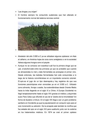 Las Drogas Y Su Origen Lina