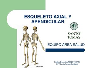 Esqueleto Axial