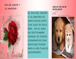 este es el folleto de la amor y la amistad