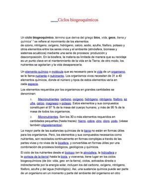 Ciclos Biogeoquímicos