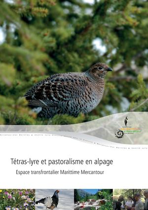 Tétras-lyre et pastoralisme en alpage