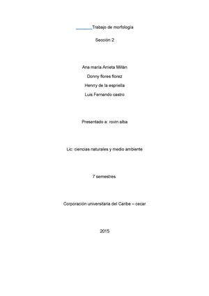 Trabajo De Morfología