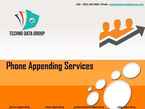 Phone Appending Services