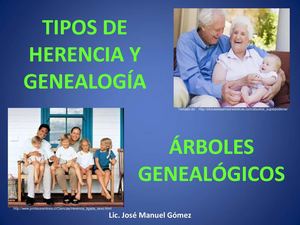 Pautas Para La Elaboración De ÁRboles Genealógicos 3