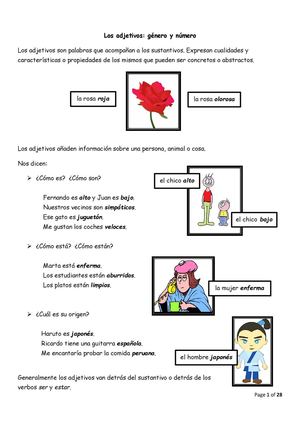 Los Adjetivos