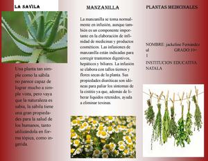 Ffolleto Plantas Medicinales