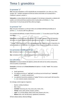 Tema 1 Gramática