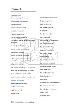 Tema 1 Vocabulario