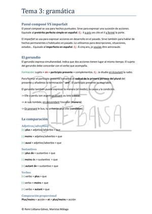 Tema 3 Gramatica