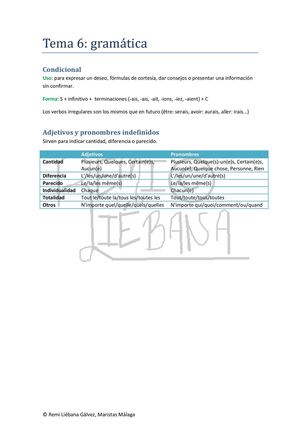 Tema 6 Gramatica