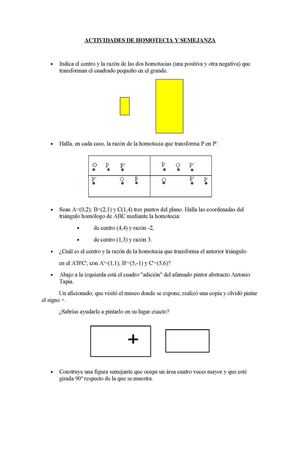 Nm2 Actividades Homotecia Y Semejanza