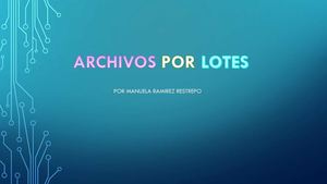 8b Archivos Por Lotes
