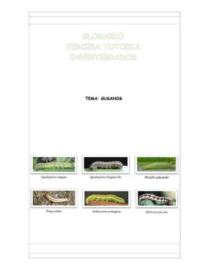 Glosario 3tuto Invertebrados