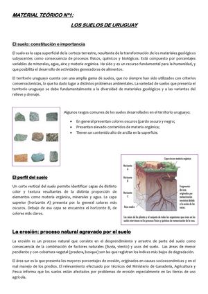 COMPOSICIÓN DE LOS SUELOS