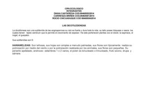 Las Dicotiledoneas Docxtaxonomica