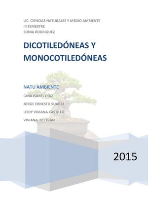 DICOTILEDÓNEAS Y MONOCOTILEDÓNEAS