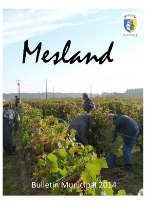 Bulletin Municipal Mesland 2014