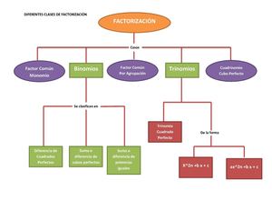 Mapa Conceptual Diferentes Clases De Fatorizacion