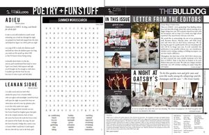 The DMCI Bulldog (Summer 2014)