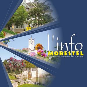 Revue Municipale 2015