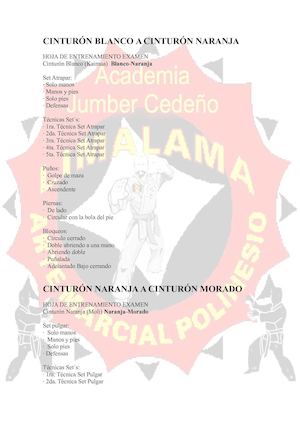 Programa Tecnico Asociacion Venezolana De Limalama