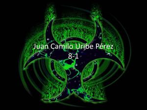 Tipos de virus informaticos mas famosos