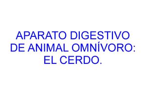 Aparato Digestivo Del Cerdo