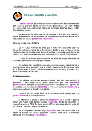 Celulas Procariotas Eucariotas