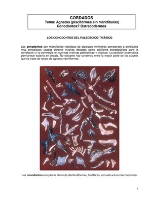 Pisciformes sin mandíbula: Agnatha