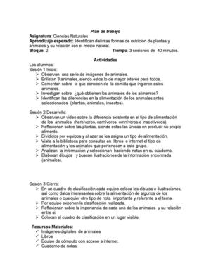 Plan De Trabajo: clasificación de animales de acuerdo su tipo de alimentación