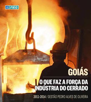 Goiás - O que Faz a Força da Indústria do Cerrado