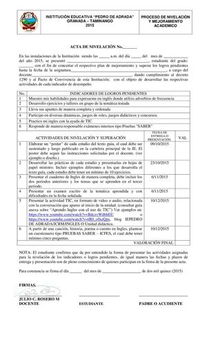 Acta De Nivelacion