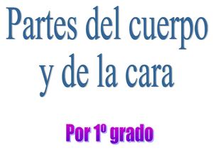 Partes del cuerpo y la cara