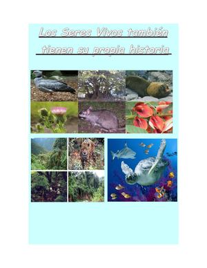 Cuentos De Seres Vivos