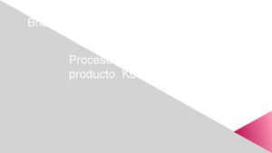 Proceso De Desarrollo Del Producto