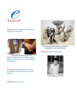 Diccionario E Gabriela Mera