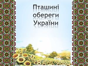 Пташині обереги України