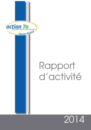 Rapport D'activité Annuel 2014