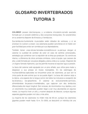 Glosario Invertebrados 3