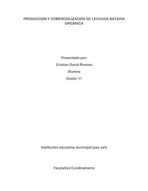 Produccion Y Comercializacion De Lechuga