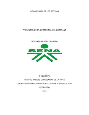 Ciclo De Vida De Los Bovinos