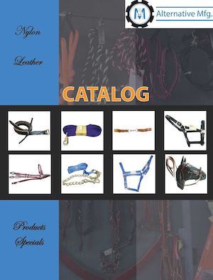 Alternative Borrador