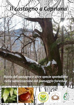 Il Castagno A Capriana