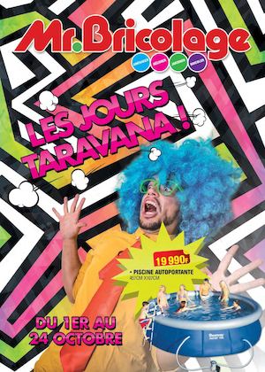 Mr Bricolage Tahiti 011015