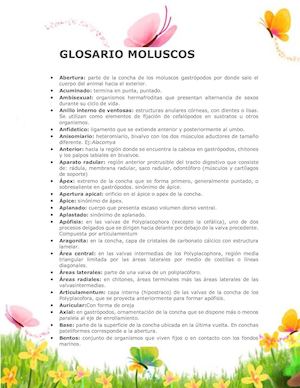 Glosario Tutoria Moluscos