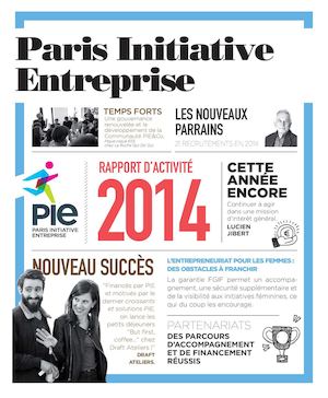 Rapport d'activité PIE 2014